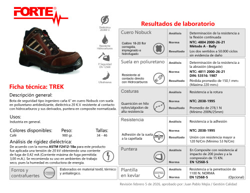 Botas con puntera, calzado industrial