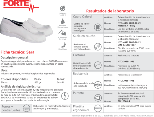zapato para dotacion servicios generales
